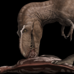 Bisti Beast