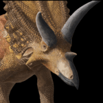 Pentaceratops