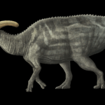 Parasaurolophus