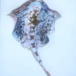 DSC04059